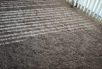 Carpet Cleaning North Bergen, NJ